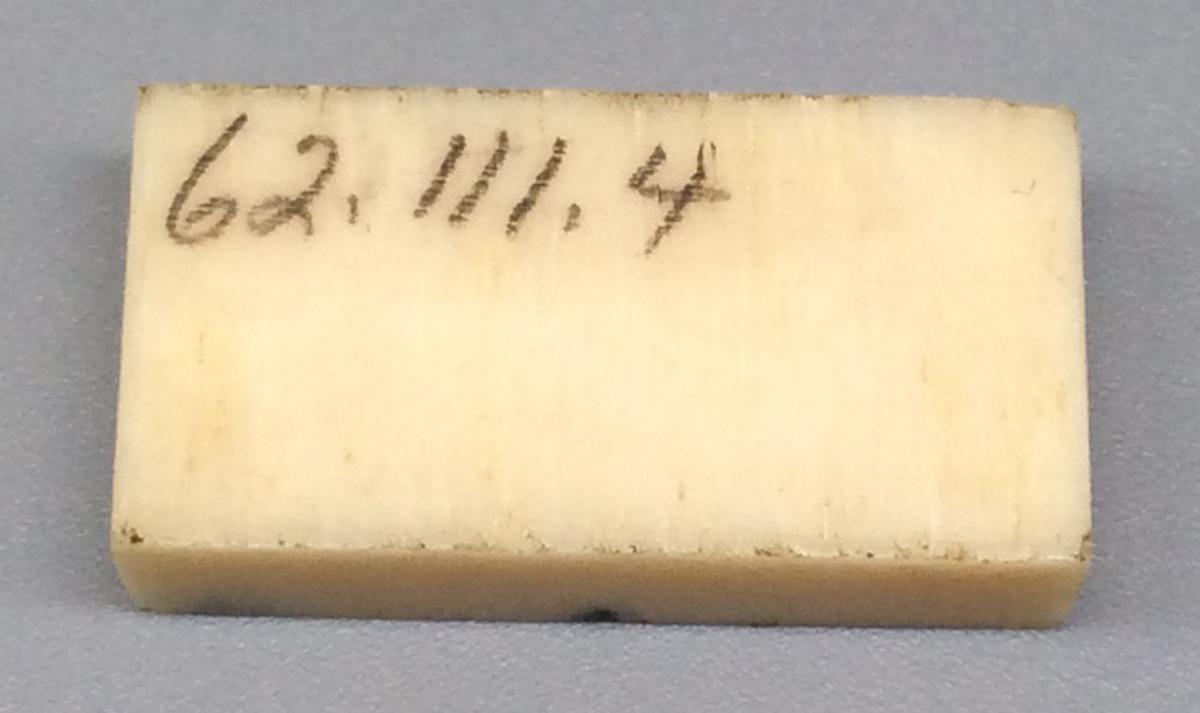 1962.0111.004 Domino, view 2