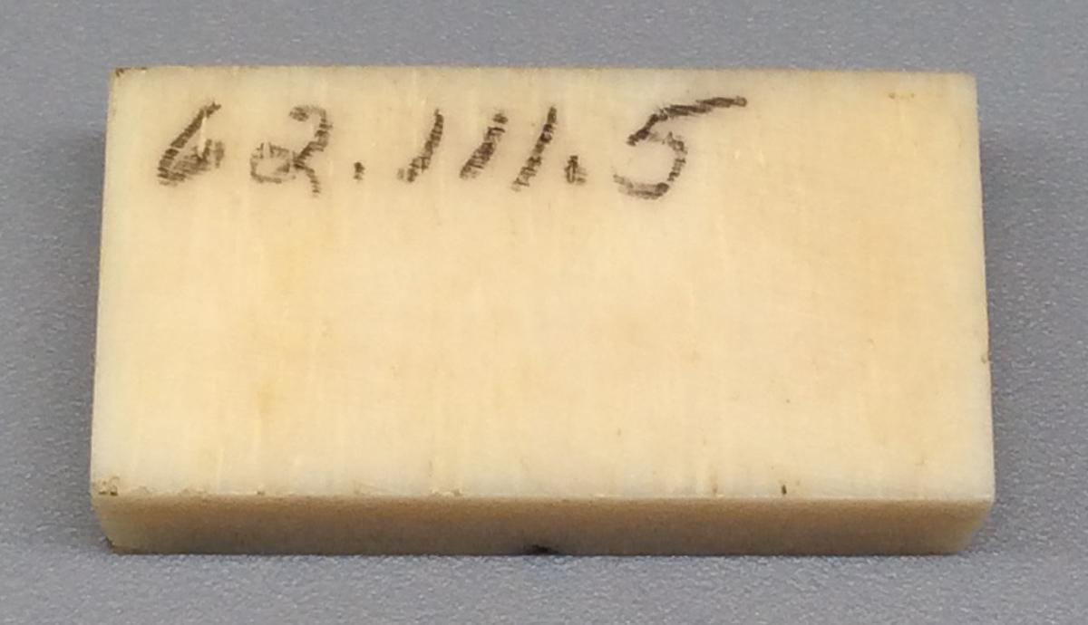 1962.0111.005 Domino, view 2
