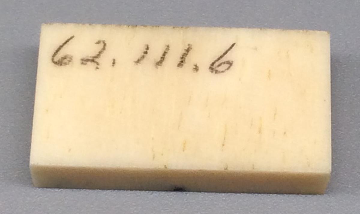 1962.0111.006 Domino, view 2