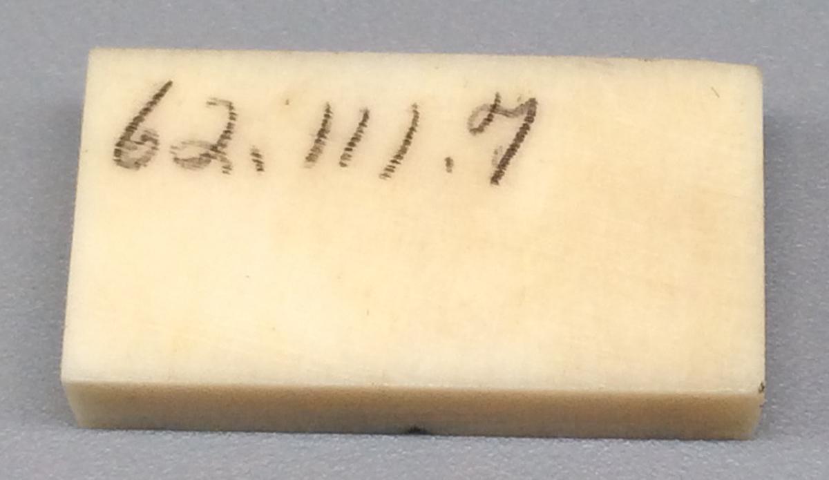 1962.0111.007 Domino, view 2