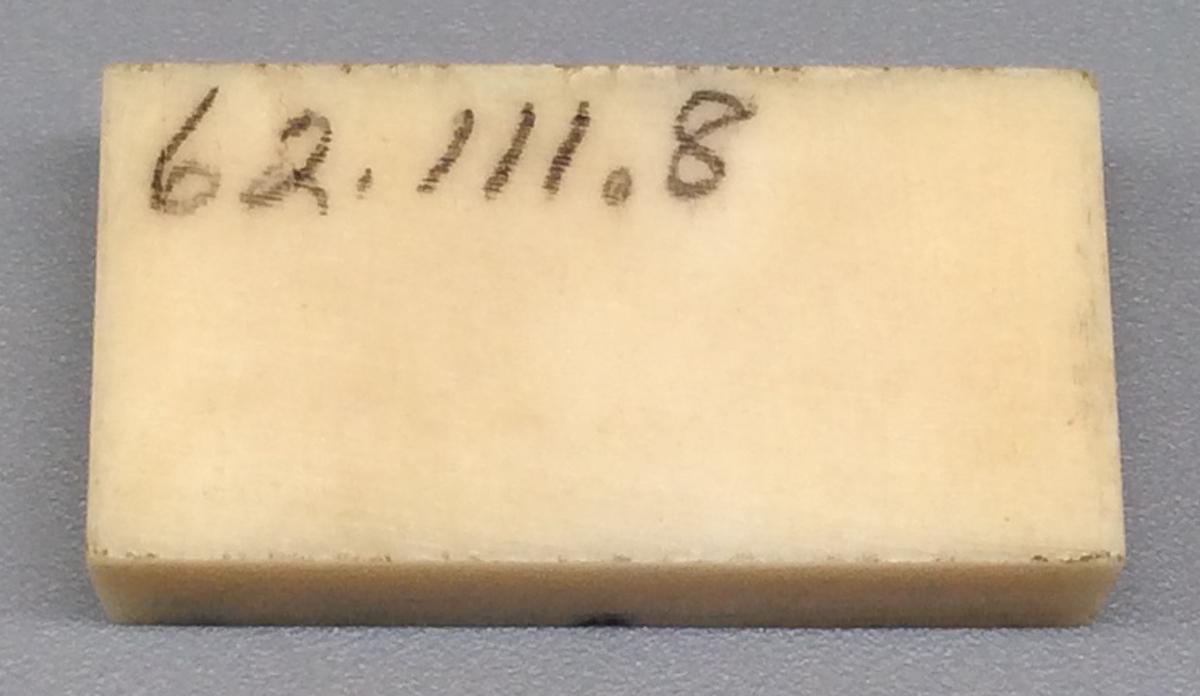 1962.0111.008 Domino, view 2