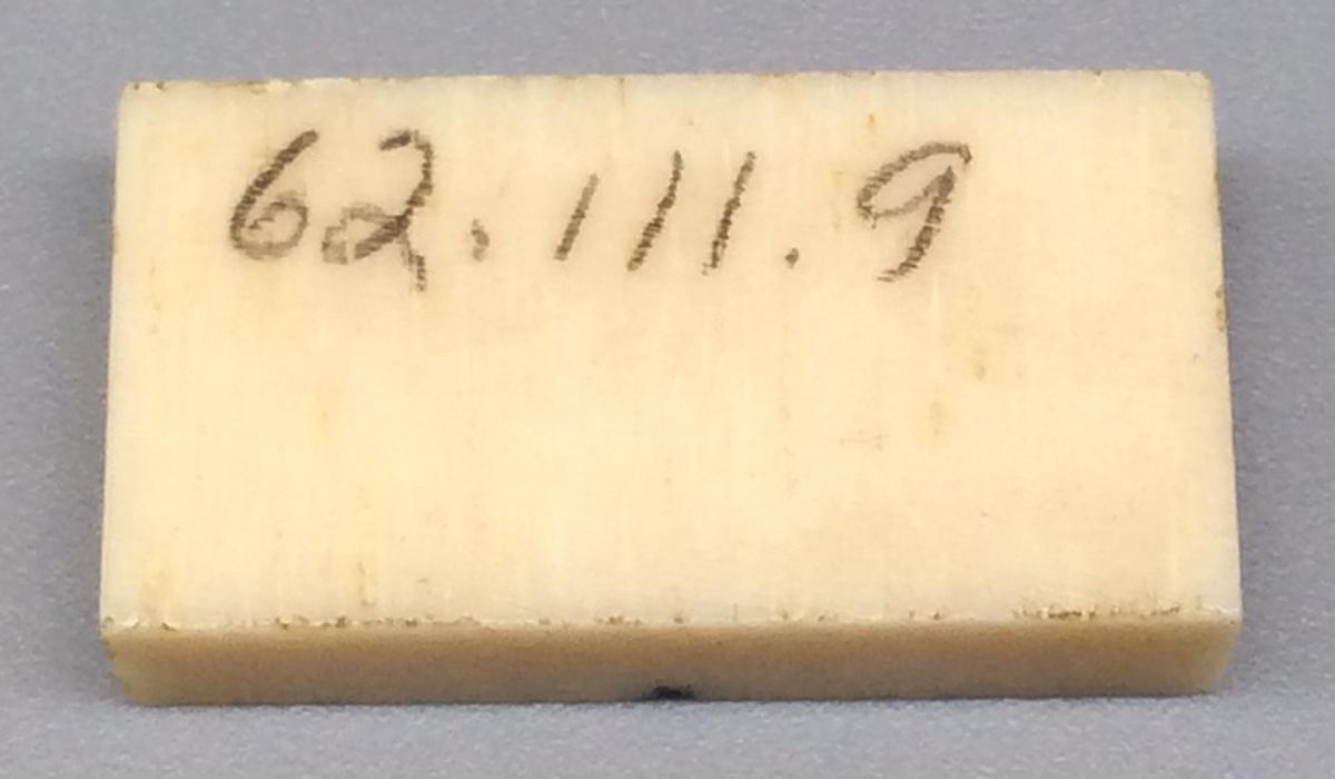 1962.0111.009 Domino, view 2
