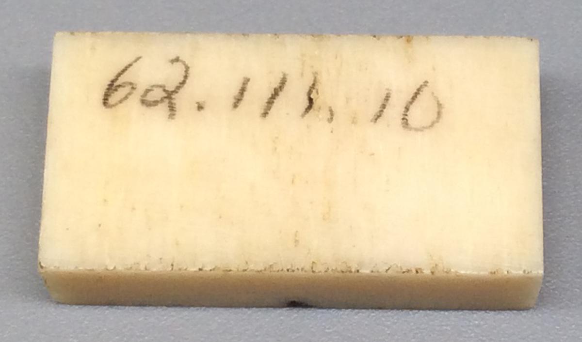 1962.0111.010 Domino, view 2