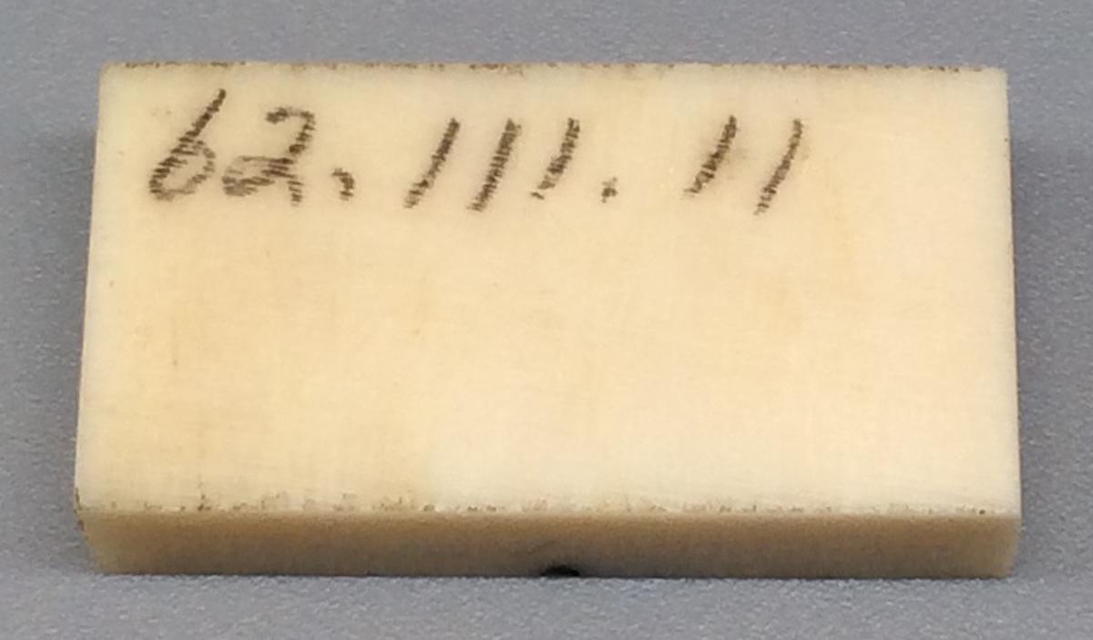 1962.0111.011 Domino, view 2