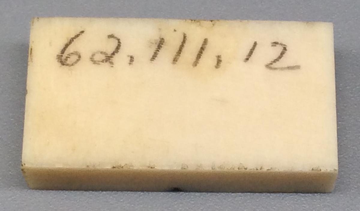 1962.0111.012 Domino, view 2