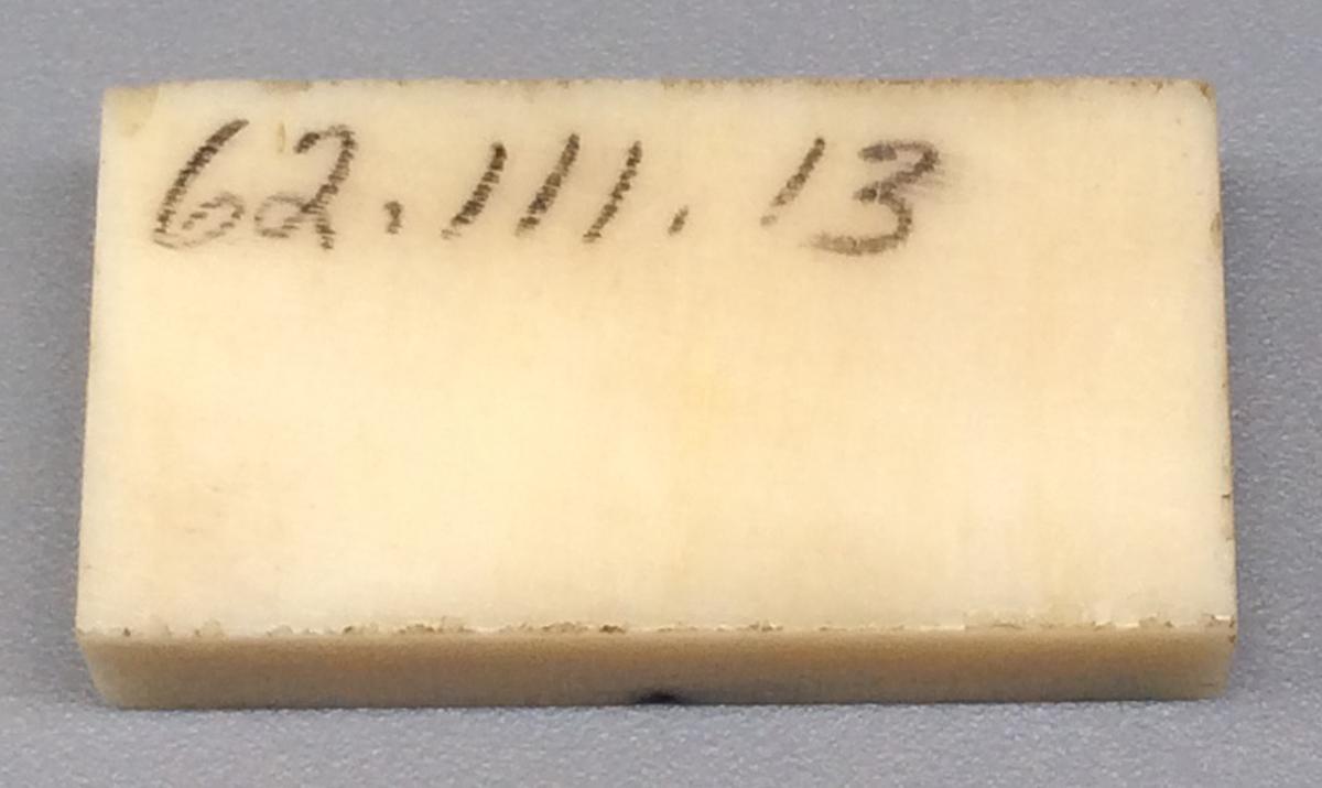 1962.0111.013 Domino, view 2