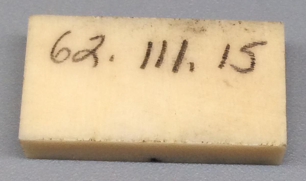 1962.0111.015 Domino, view 2