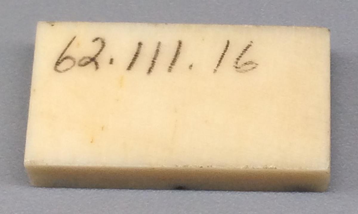 1962.0111.016 Domino, view 2