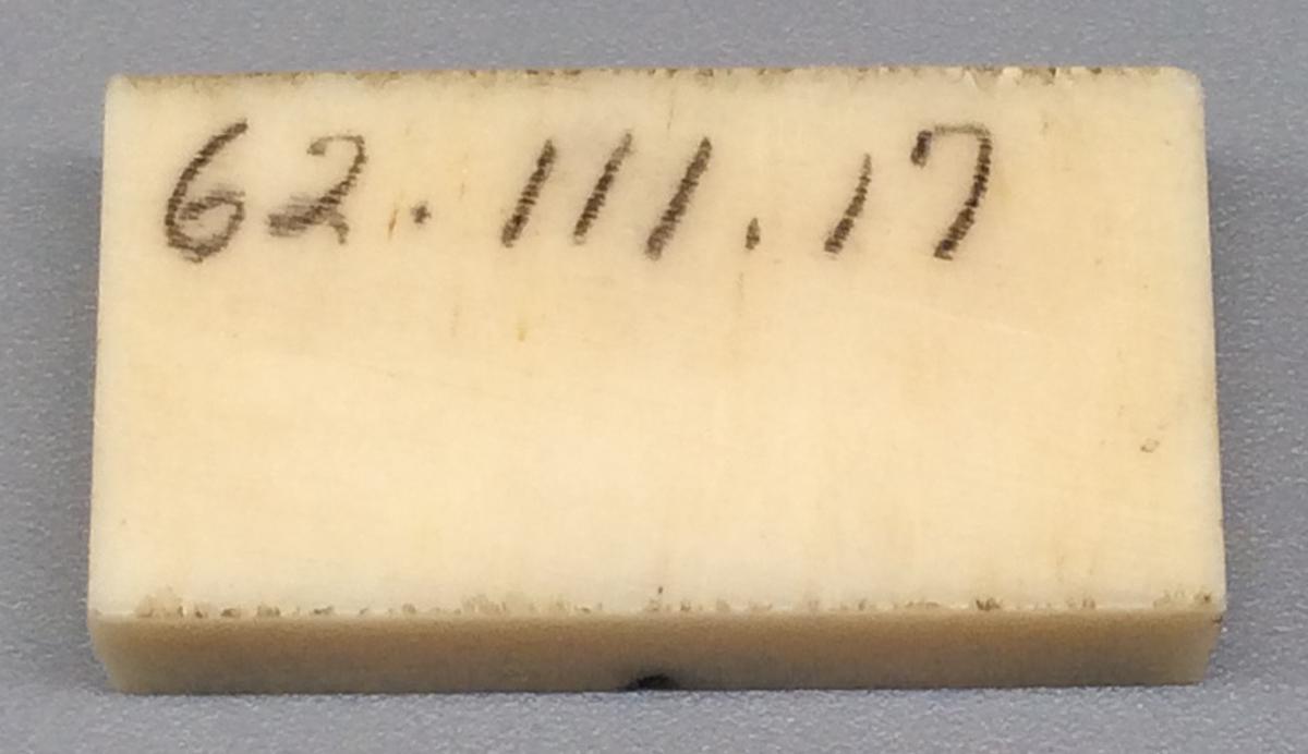 1962.0111.017 Domino, view 2
