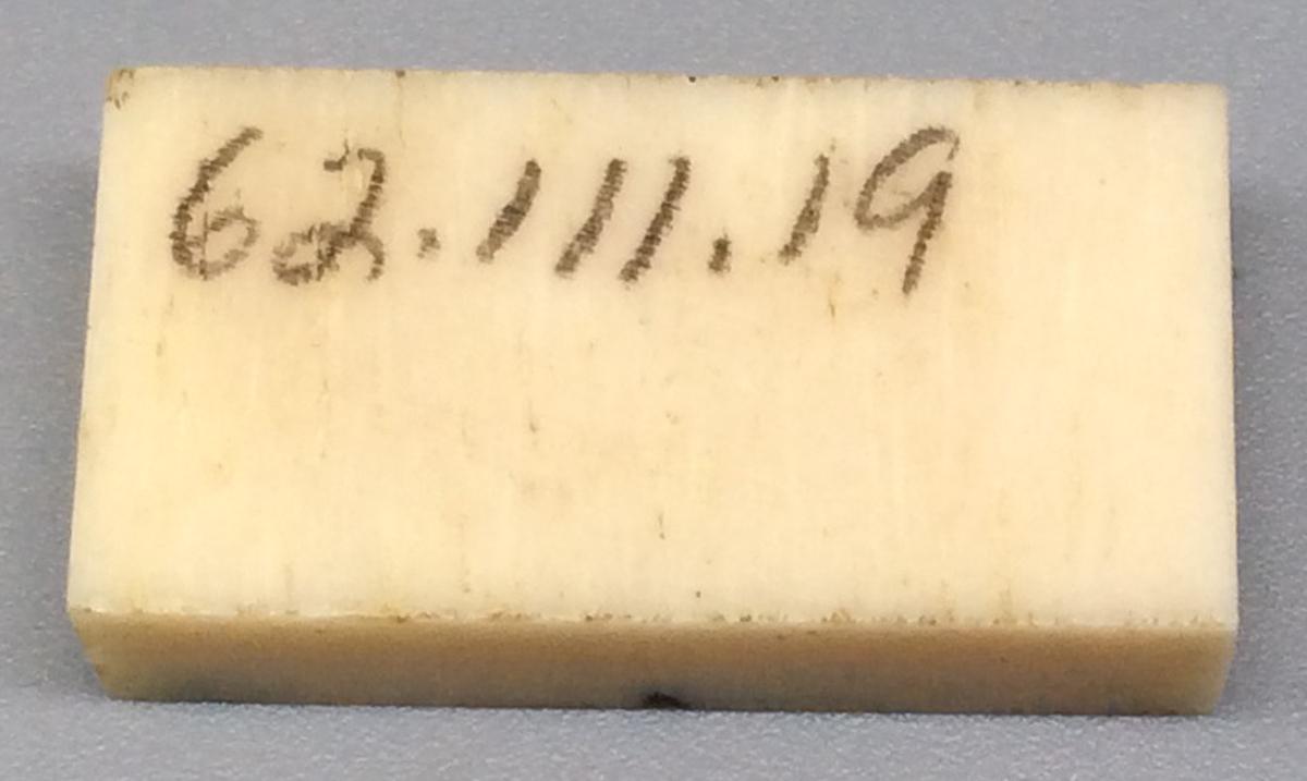 1962.0111.019 Domino, view 2