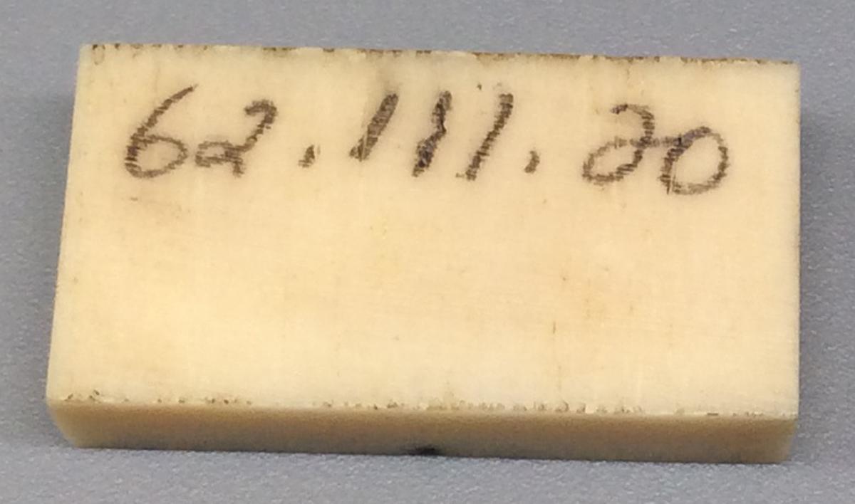 1962.0111.020 Domino, view 2