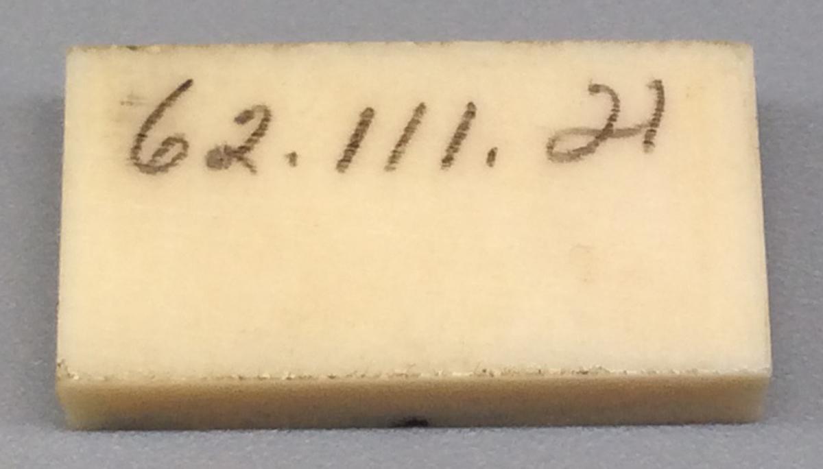 1962.0111.021 Domino, view 2
