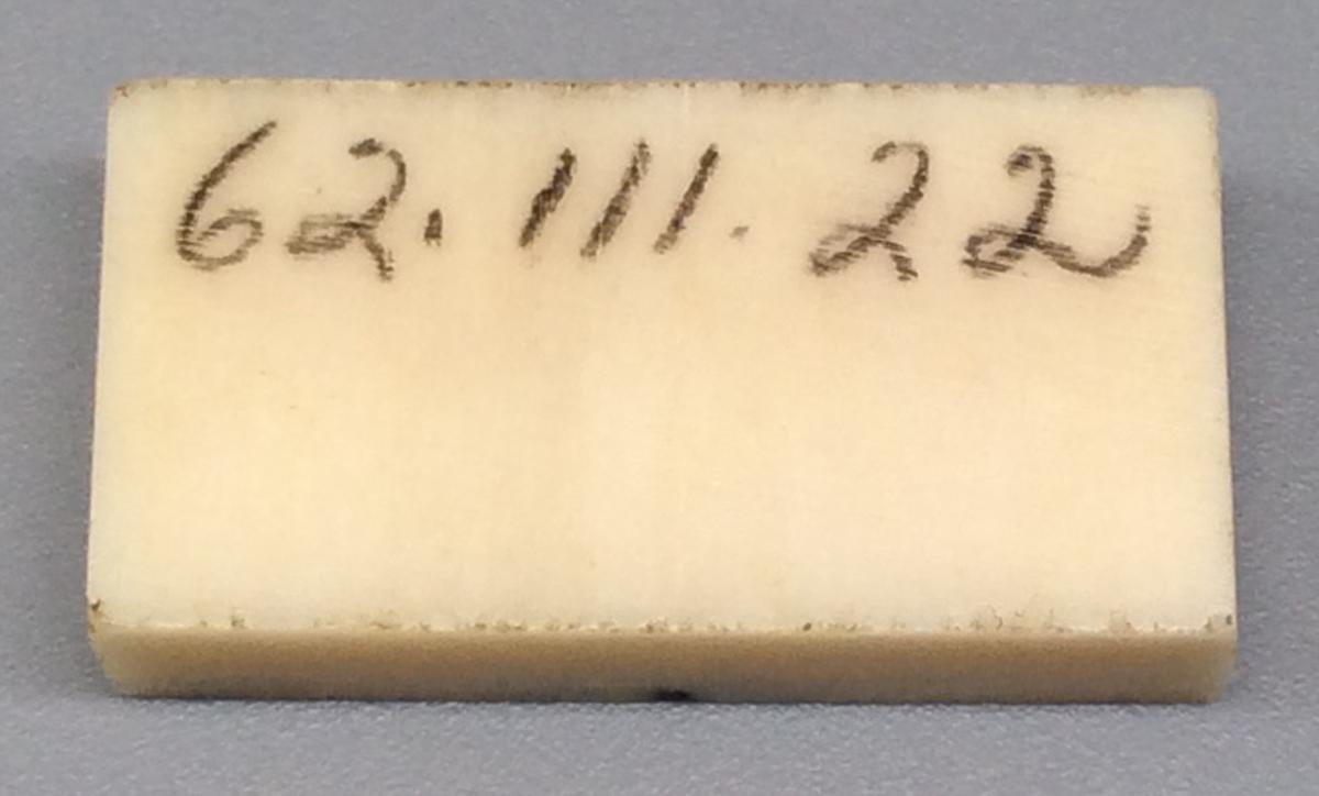 1962.0111.022 Domino, view 2