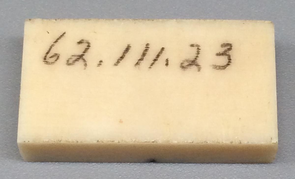 1962.0111.023 Domino, view 2