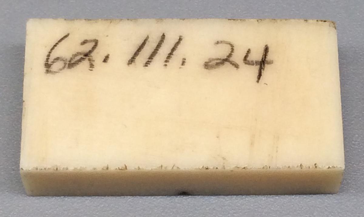1962.0111.024 Domino, view 2