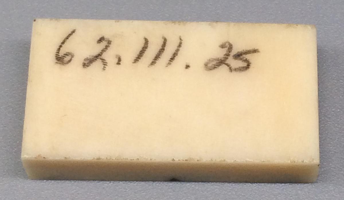 1962.0111.025 Domino, view 2
