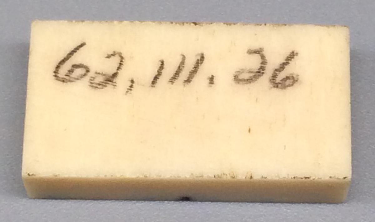 1962.0111.026 Domino, view 2