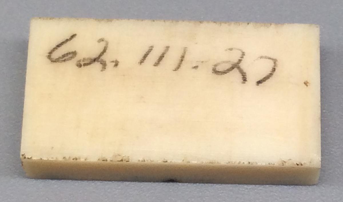 1962.0111.027 Domino, view 2
