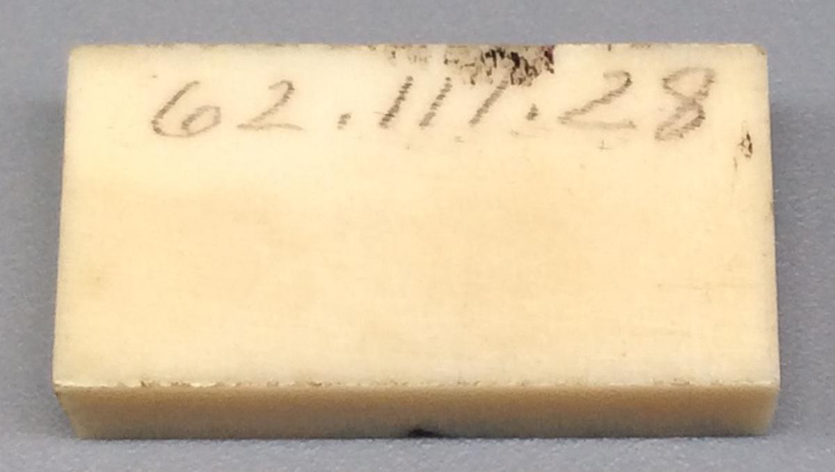 1962.0111.028 Domino, view 2