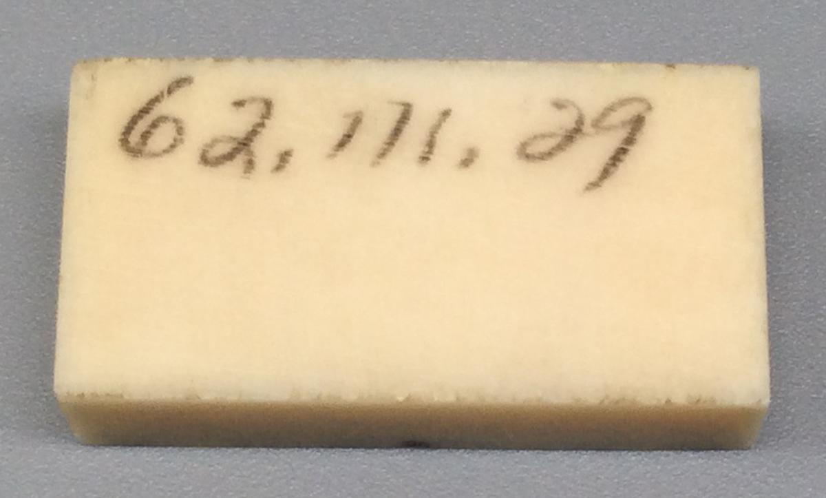 1962.0111.029 Domino, view 2