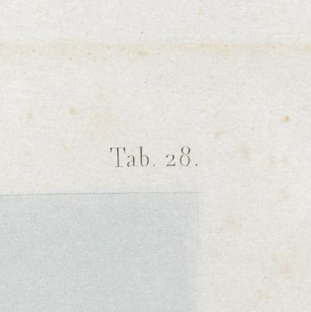 1962.0229 Print, detail 2
