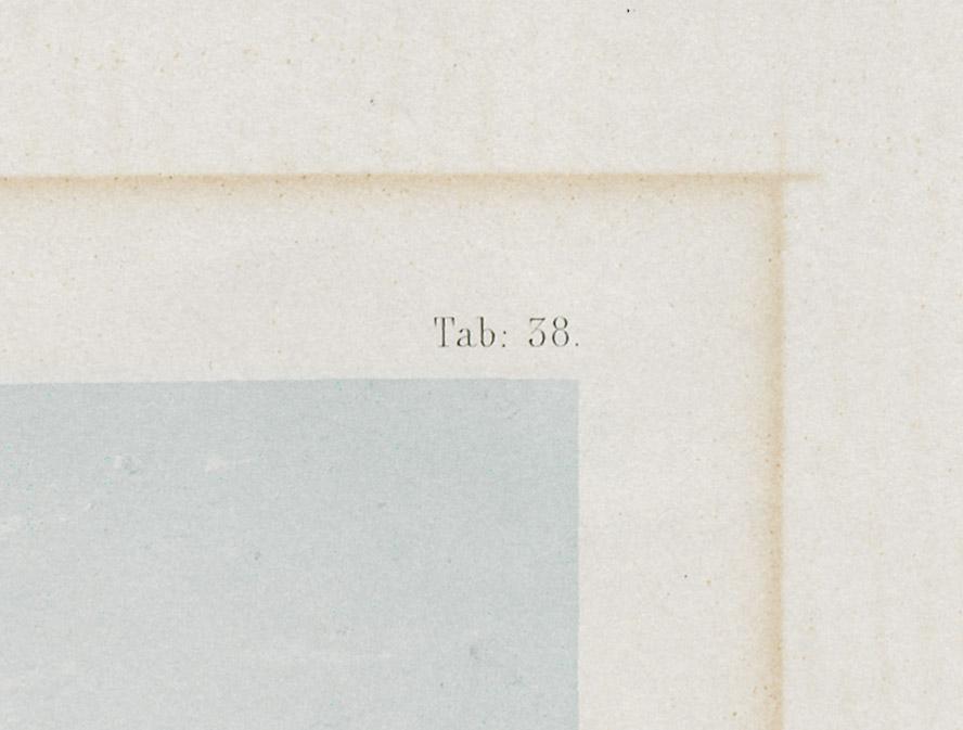 1962.0231 Print, detail 2