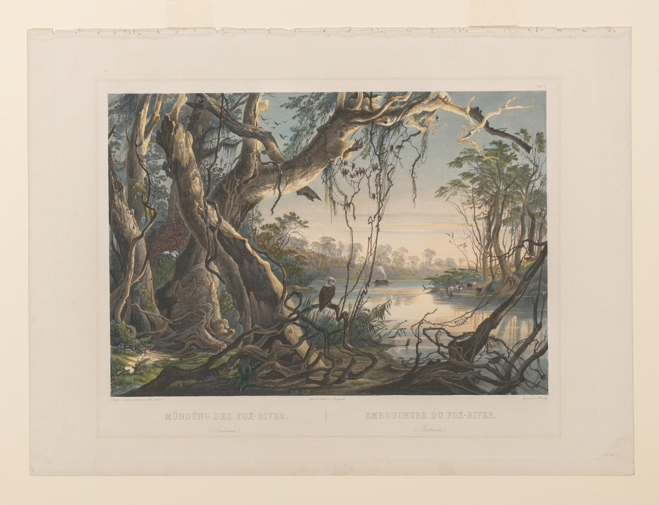 1962.0232 Print, view 1
