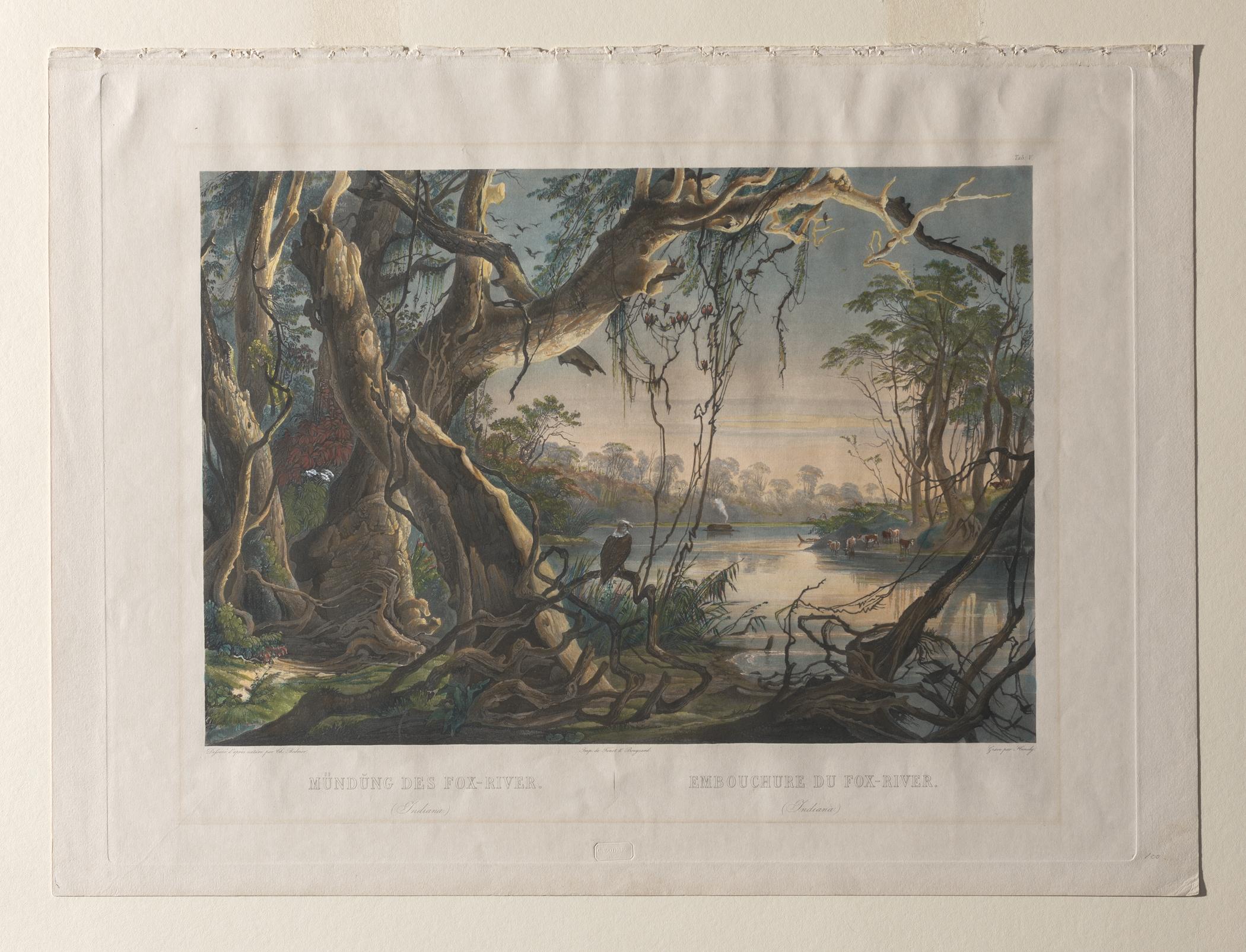 1962.0232 Print, view 2, raking light