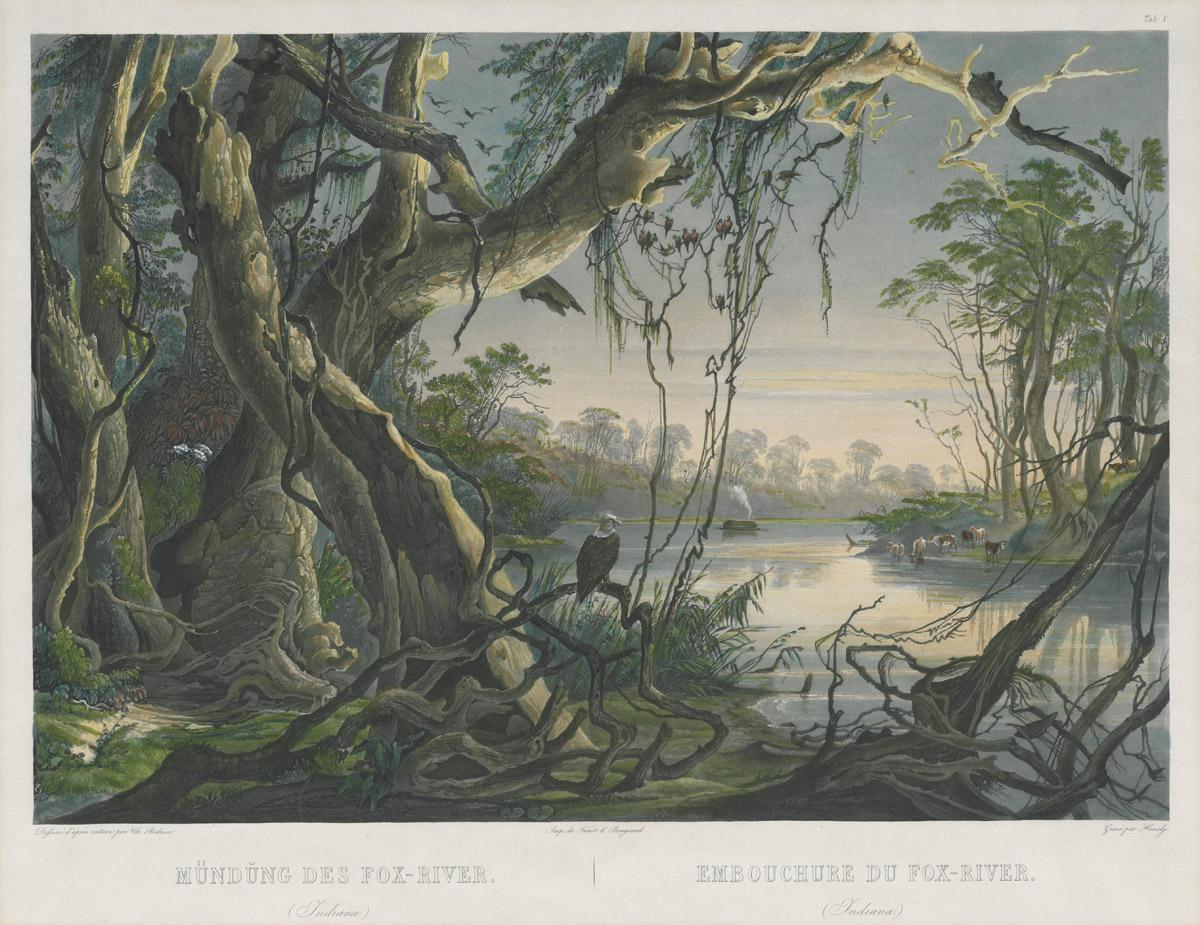 1962.0232 Print, image