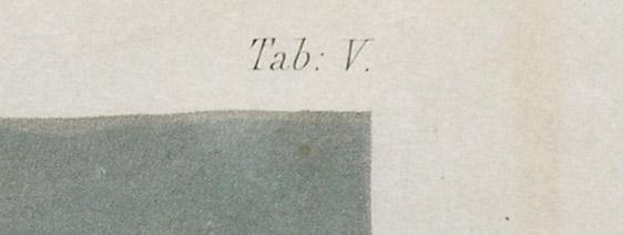 1962.0232 Print, detail 3