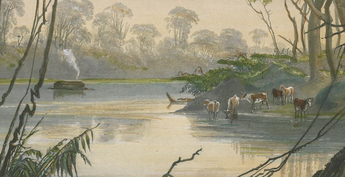 1962.0232 Print, detail 5