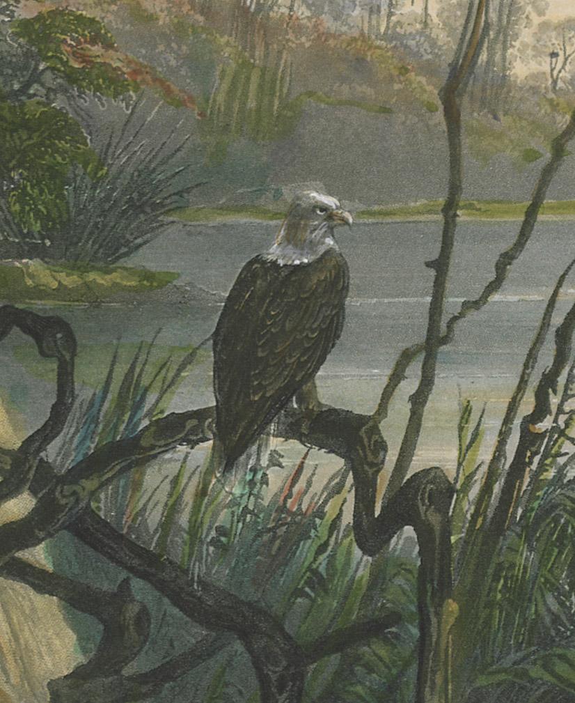 1962.0232 Print, detail 6