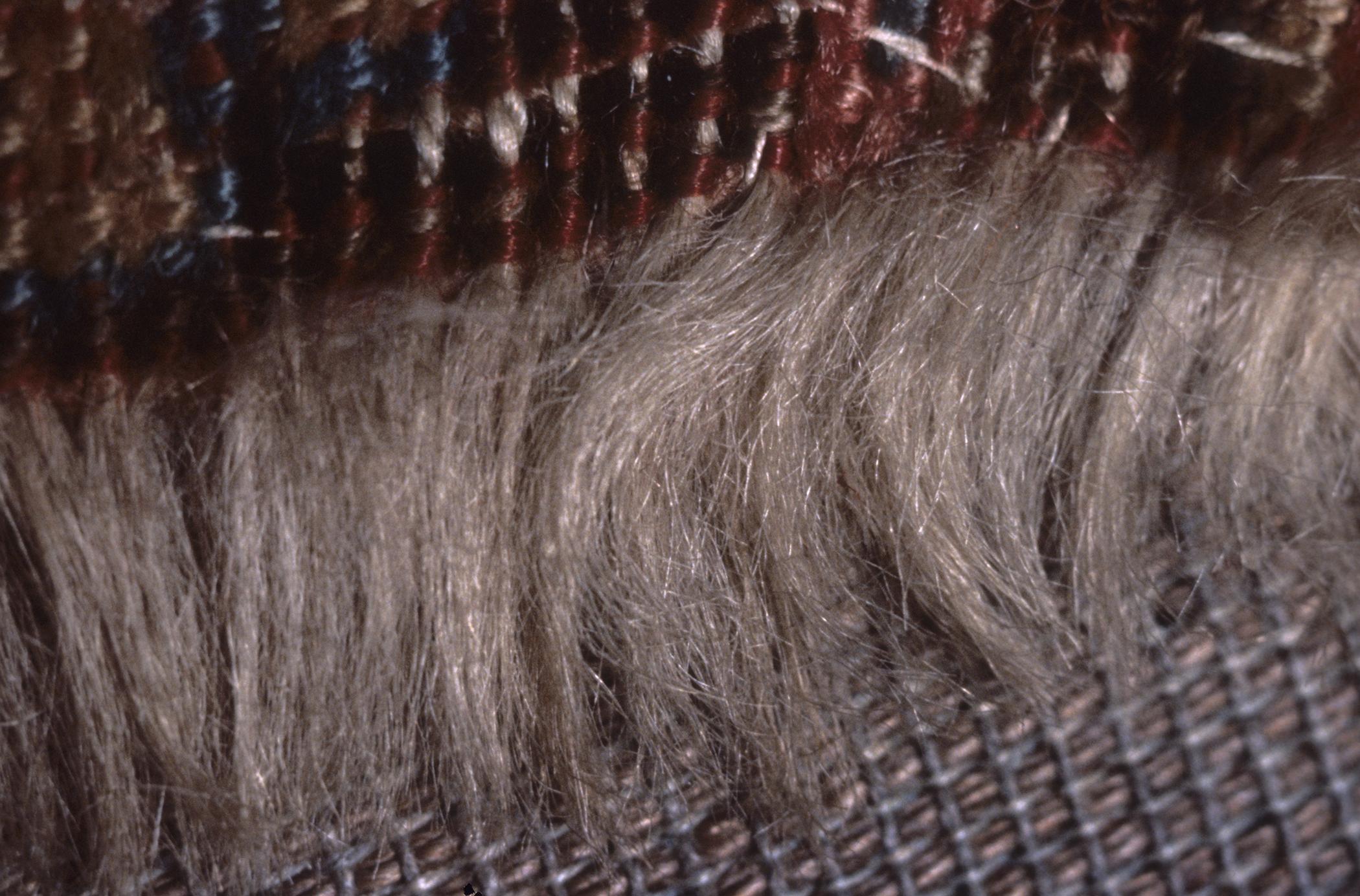 1964.0801 Rug, detail 4