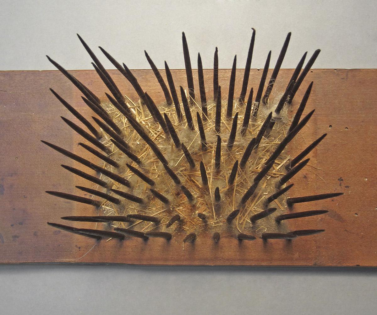 1964.1301 A, B, Hetchel, spikes 2