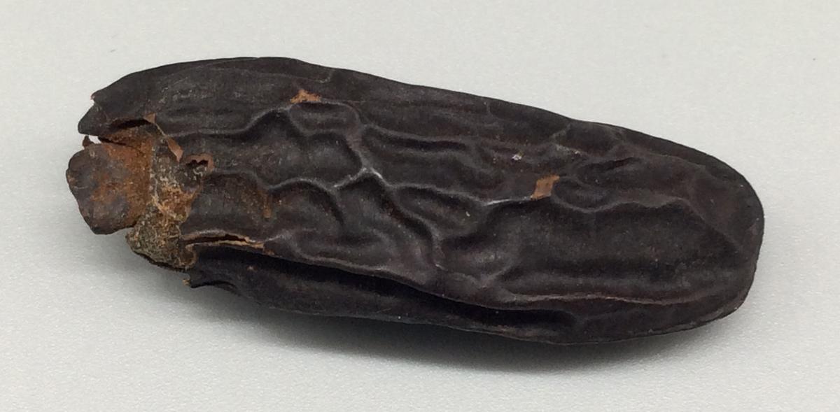 1964.1429 A B Box, detail 1