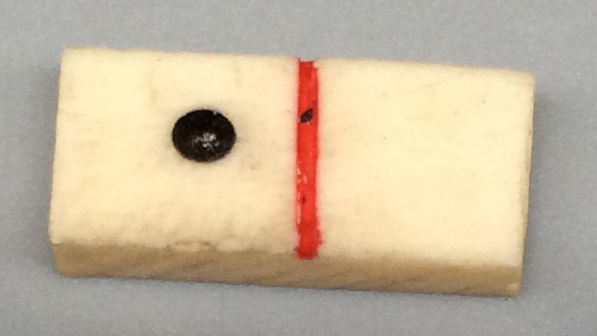 1964.1438 C Domino, view 1