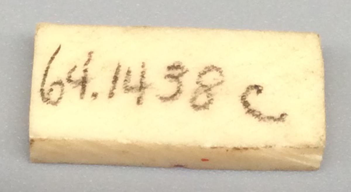 1964.1438 C Domino, view 2