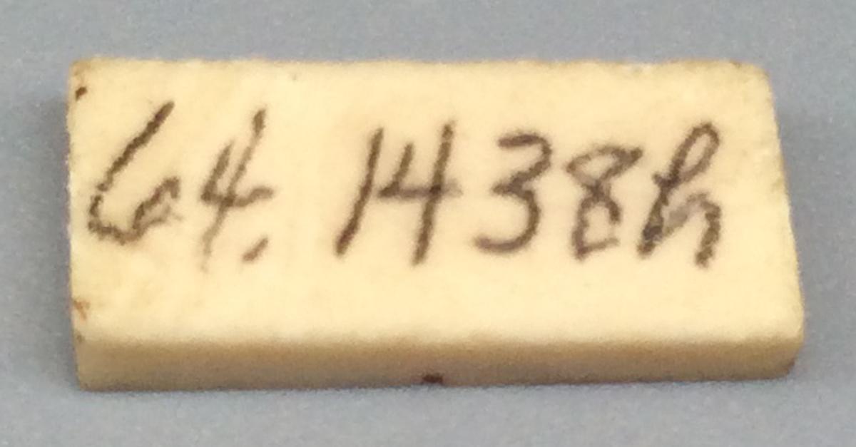 1964.1438 H Domino, view 2