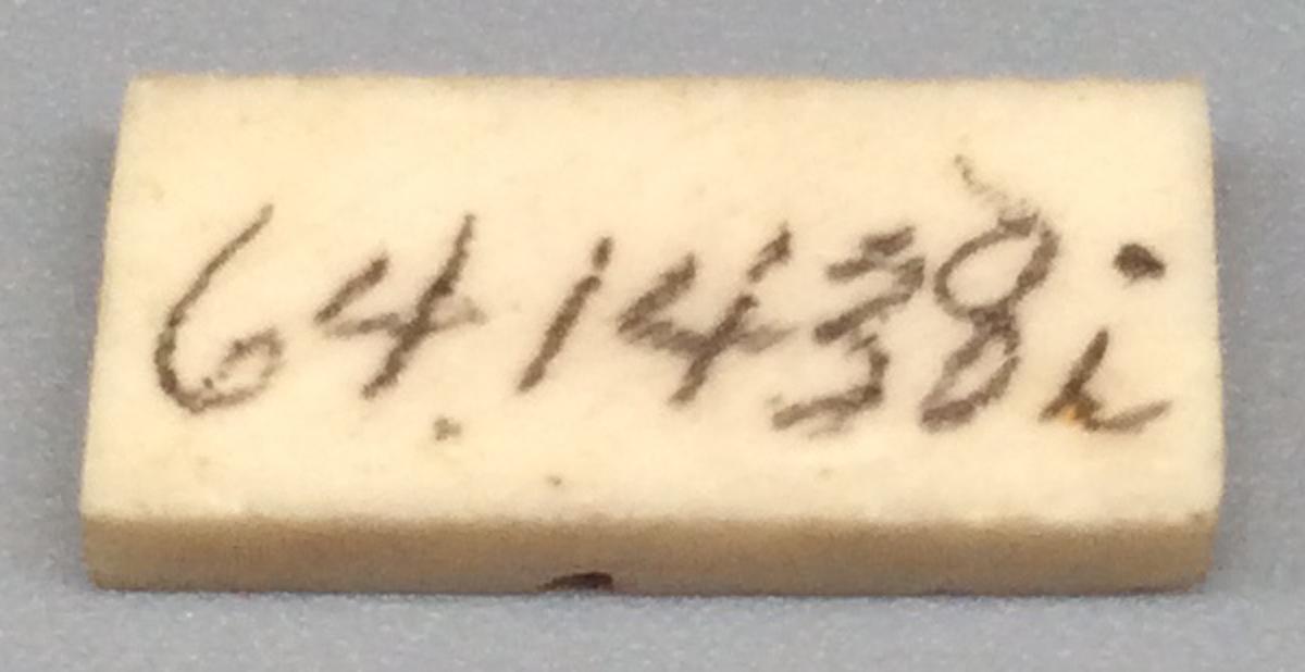 1964.1438 I Domino, view 2