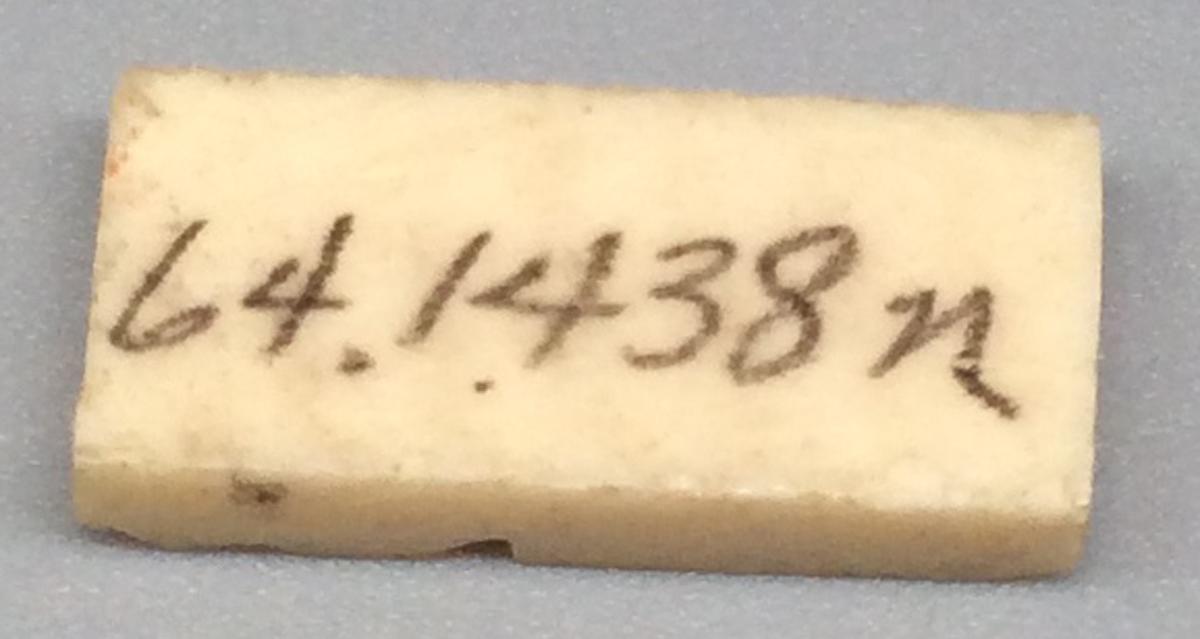 1964.1438 N Domino, view 2