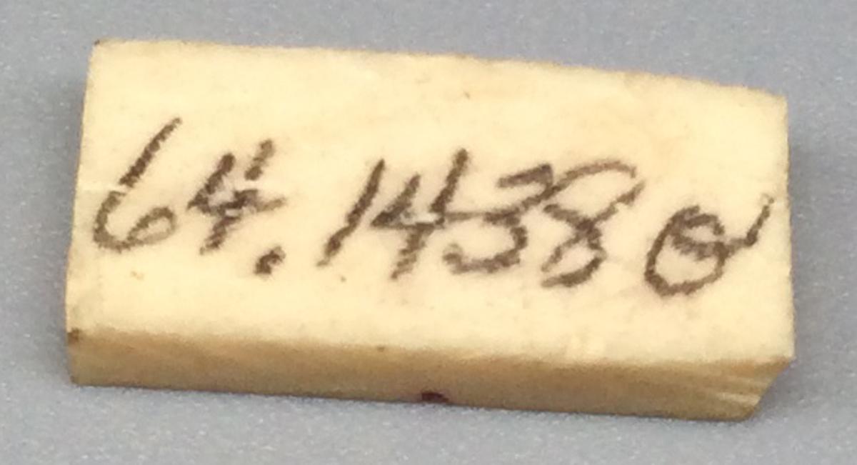 1964.1438 O Domino, view 2
