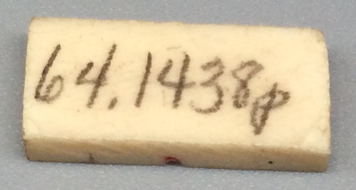 1964.1438 P Domino, view 2