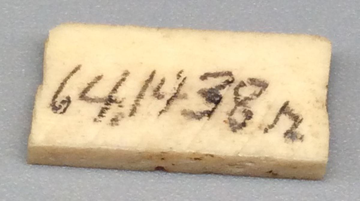 1964.1438 R Domino, view 2