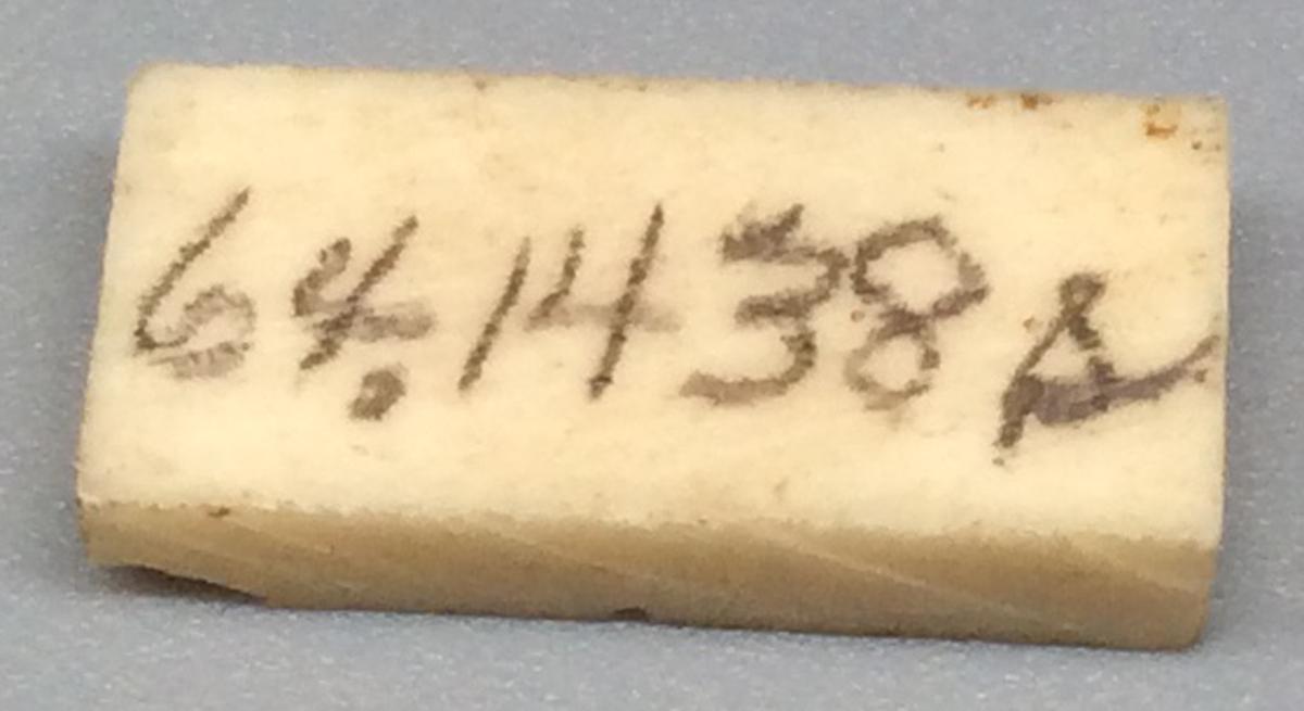 1964.1438 S Domino, view 2