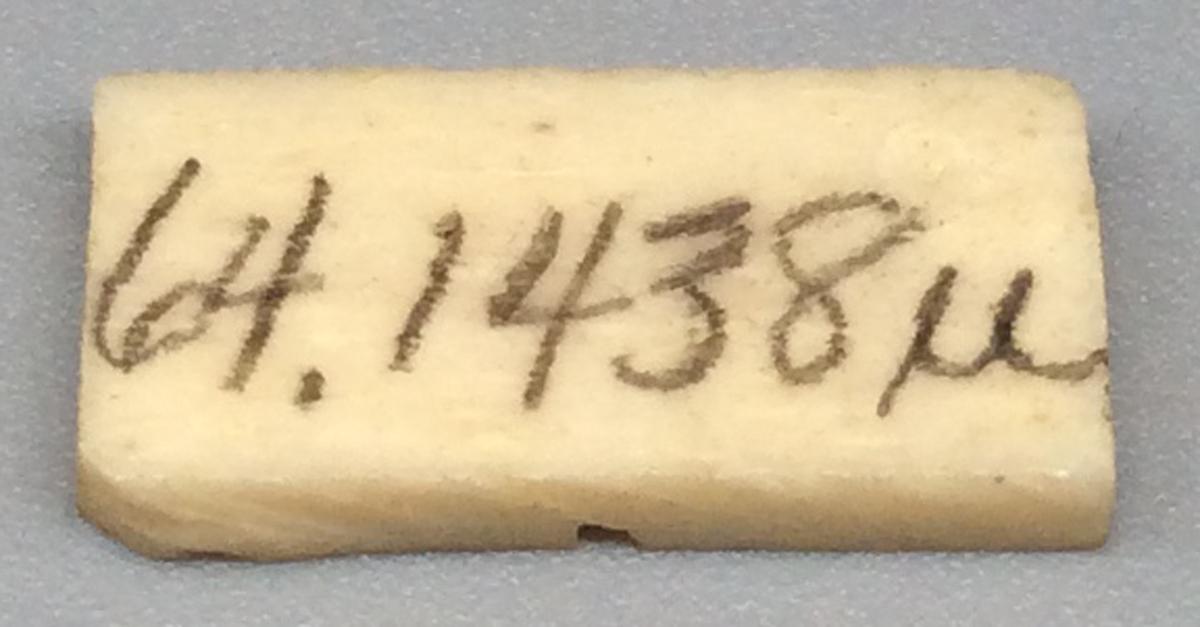 1964.1438 U Domino, view 2