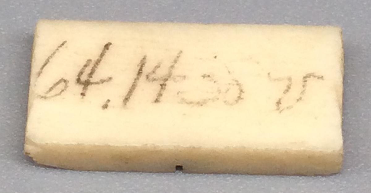 1964.1438 V Domino, view 2