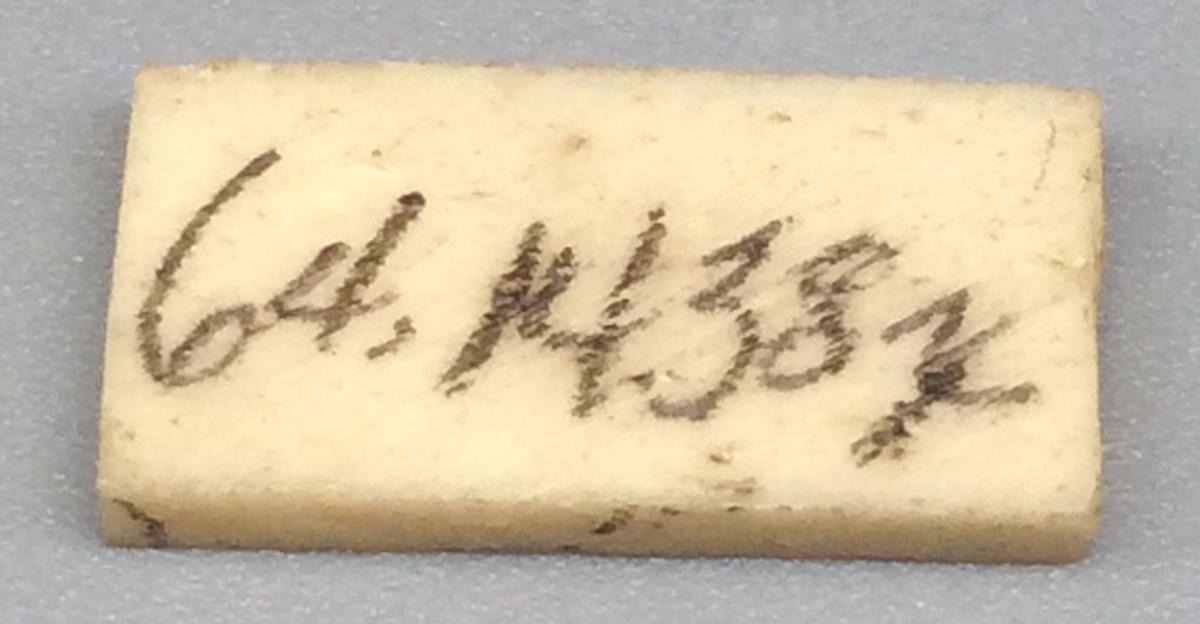 1964.1438 X Domino, view 2