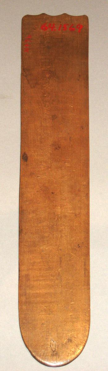 1964.1569 Busk underside