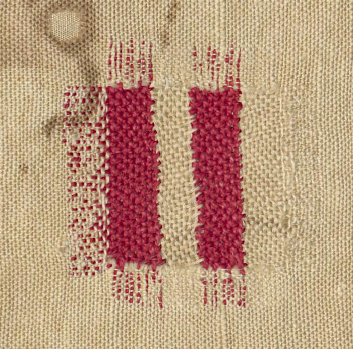 1964.1702 Sampler, Detail 17