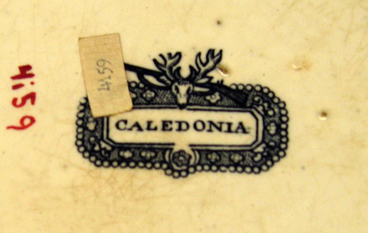 1964.1842 Caledonia plate mark